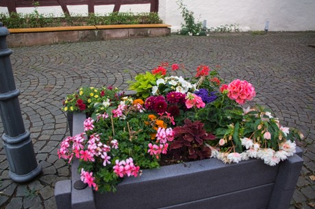 Bad Bergzabern